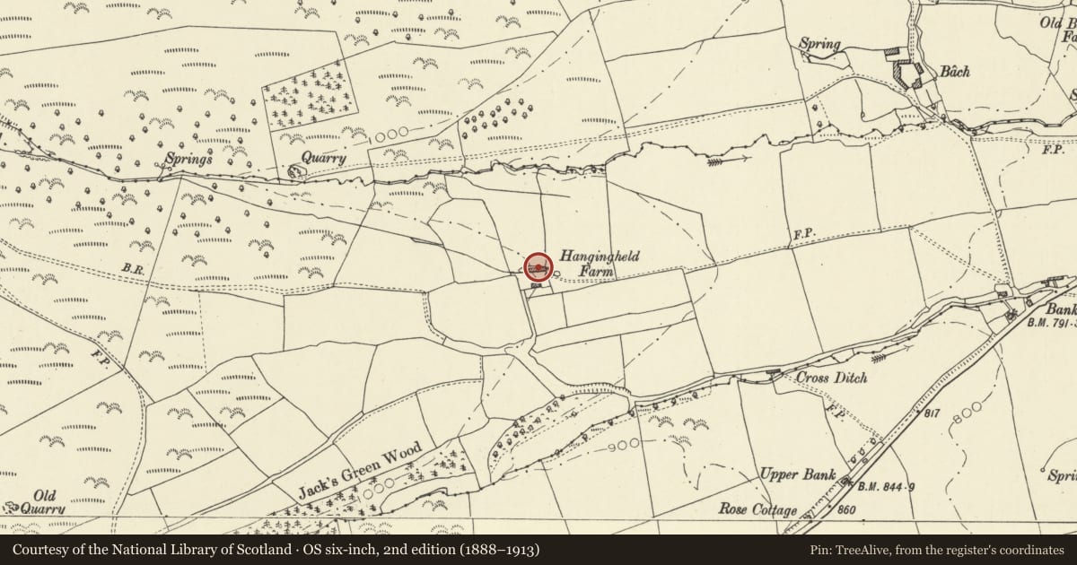 Ordnance Survey six-inch map, 2nd edition (1888–1913) covering the location of Ferndale, New Radnor, Powys, with a pin at the register's coordinates