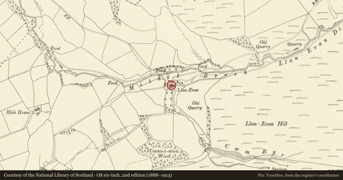 Ordnance Survey six-inch map, 2nd edition (1888–1913) covering the location of Llanevan, New Radnor, Powys, with a pin at the register's coordinates