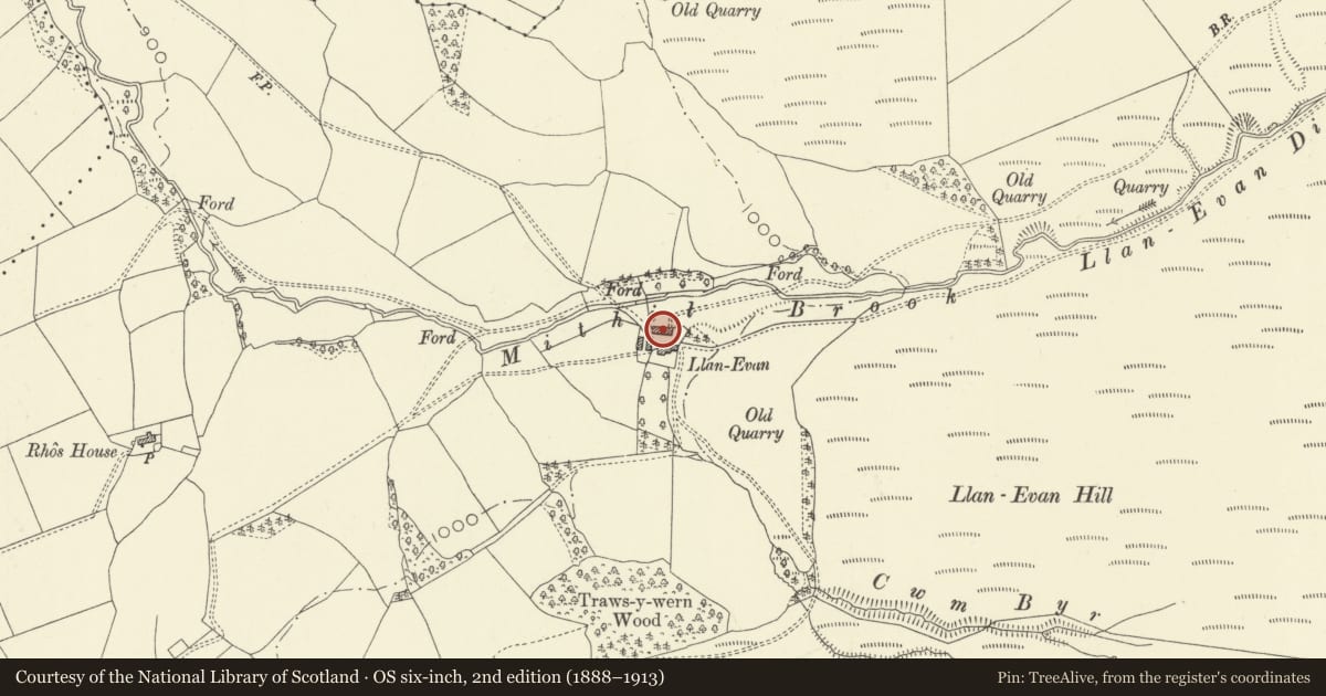 Ordnance Survey six-inch map, 2nd edition (1888–1913) covering the location of Barn to N. opposite Llanevan Farmhouse, New Radnor, Powys, with a pin at the register's coordinates