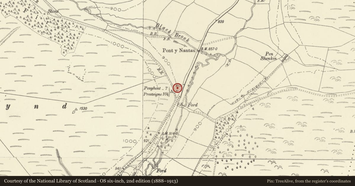 Ordnance Survey six-inch map, 2nd edition (1888–1913) covering the location of Milestone in Grass Verge about 250m SW of Pont-y-Nantau, New Radnor, Powys, with a pin at the register's coordinates