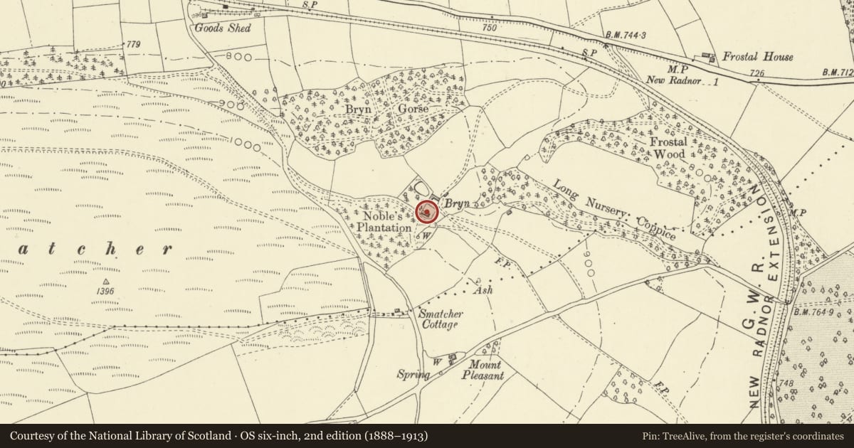 Ordnance Survey six-inch map, 2nd edition (1888–1913) covering the location of Bryn, New Radnor, Powys, with a pin at the register's coordinates