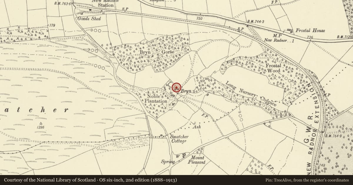 Ordnance Survey six-inch map, 2nd edition (1888–1913) covering the location of L-Plan Farm Ranges to N of the Bryn, New Radnor, Powys, with a pin at the register's coordinates