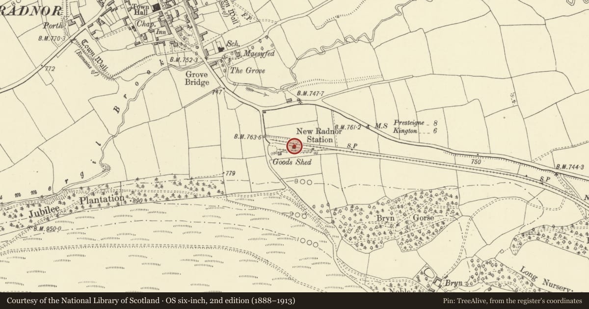 Ordnance Survey six-inch map, 2nd edition (1888–1913) covering the location of Former Station Building at New Radnor, including adjacent Platform, Powys, with a pin at the register's coordinates