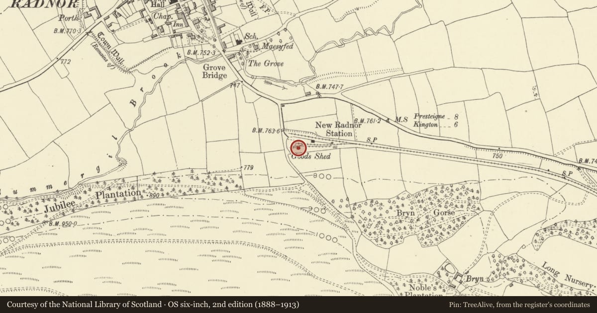 Ordnance Survey six-inch map, 2nd edition (1888–1913) covering the location of Former Goods Shed at New Radnor Station, Powys, with a pin at the register's coordinates