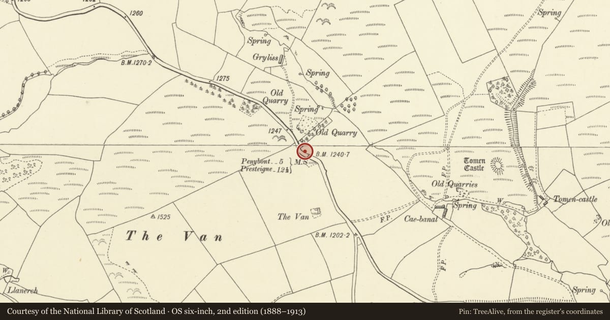Ordnance Survey six-inch map, 2nd edition (1888–1913) covering the location of Milestone in wide Grass Verge below The Van Hill, New Radnor, Powys, with a pin at the register's coordinates
