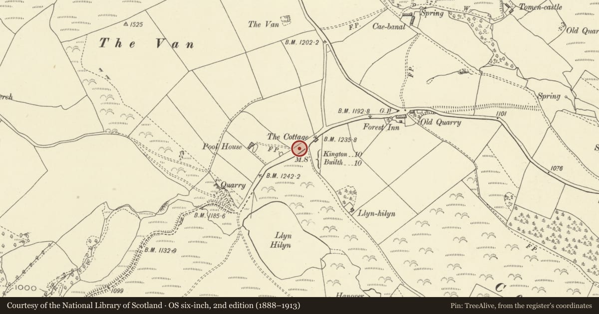 Ordnance Survey six-inch map, 2nd edition (1888–1913) covering the location of Milestone in Grass Verge 300m W of Fforest Inn, New Radnor, Powys, with a pin at the register's coordinates