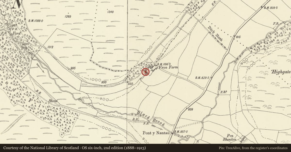 Ordnance Survey six-inch map, 2nd edition (1888–1913) covering the location of Barn lying at right-angles to SW end of Vron Farmhouse, New Radnor, Powys, with a pin at the register's coordinates