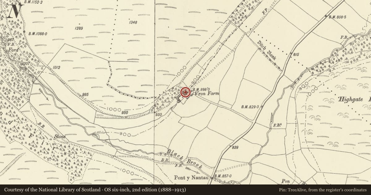 Ordnance Survey six-inch map, 2nd edition (1888–1913) covering the location of Former Stable/Granary lying 20m E of Vron Farmhouse, New Radnor, Powys, with a pin at the register's coordinates