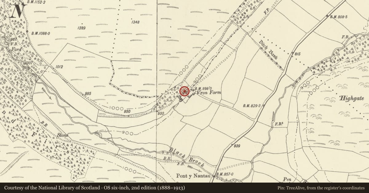 Ordnance Survey six-inch map, 2nd edition (1888–1913) covering the location of Cowhouses lying 25m NE of Vron Farmhouse, New Radnor, Powys, with a pin at the register's coordinates