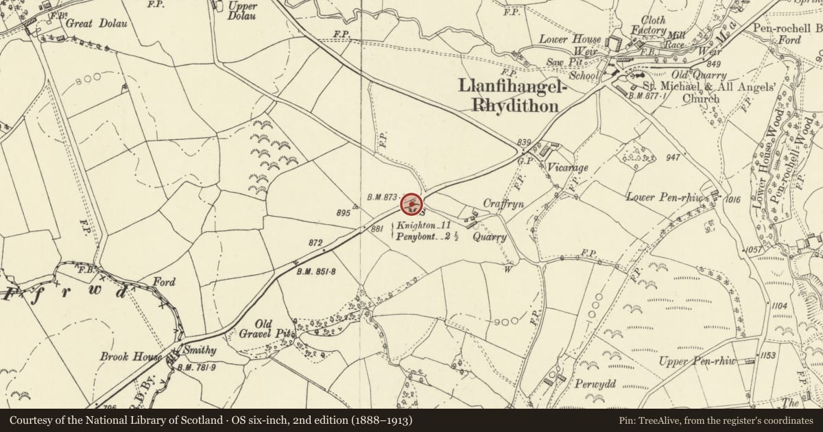 Ordnance Survey six-inch map, 2nd edition (1888–1913) covering the location of Milestone in grass verge close to junction with lane to Craffryn, Llanfihangel Rhydithon, Powys, with a pin at the register's coordinates