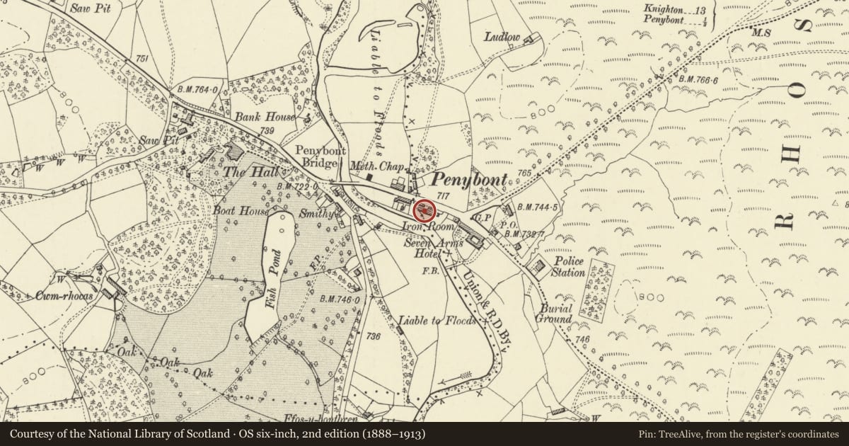 Ordnance Survey six-inch map, 2nd edition (1888–1913) covering the location of Maesyfed, Penybont, Powys, with a pin at the register's coordinates