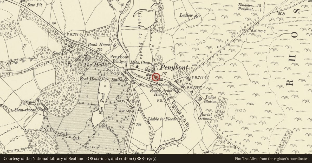 Ordnance Survey six-inch map, 2nd edition (1888–1913) covering the location of Gabled Outbuilding Range Forward on Right of Maesyfed, Penybont, Powys, with a pin at the register's coordinates
