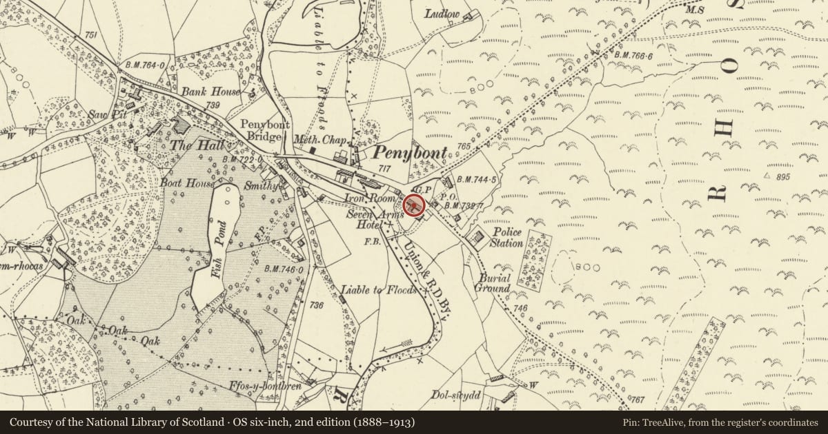Ordnance Survey six-inch map, 2nd edition (1888–1913) covering the location of Severn Arms Hotel, Penybont, Powys, with a pin at the register's coordinates