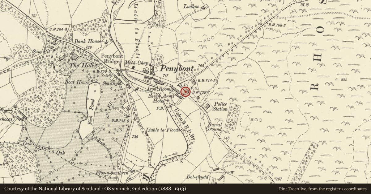 Ordnance Survey six-inch map, 2nd edition (1888–1913) covering the location of Telephone Call-box opposite Severn Arms Hotel, Penybont, Powys, with a pin at the register's coordinates