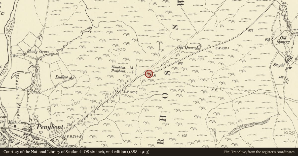 Ordnance Survey six-inch map, 2nd edition (1888–1913) covering the location of Milestone sited approx. 800m NE of Road Junction with A44, Penybont, Powys, with a pin at the register's coordinates
