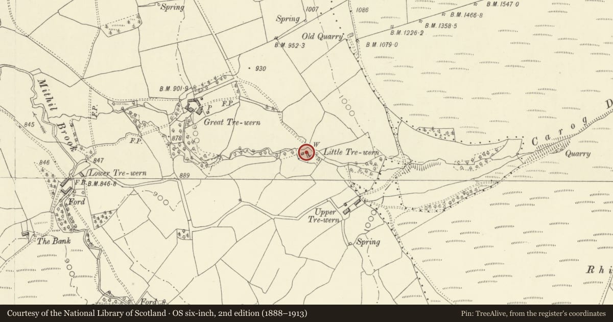 Ordnance Survey six-inch map, 2nd edition (1888–1913) covering the location of Outbuilding attached to Little Trewern Farmhouse, Penybont, Powys, with a pin at the register's coordinates