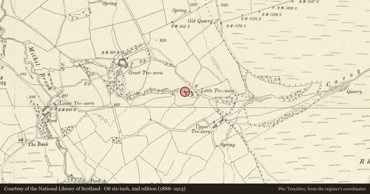 Ordnance Survey six-inch map, 2nd edition (1888–1913) covering the location of L Plan Farm Ranges to NW of Little Trewern, Penybont, Powys, with a pin at the register's coordinates