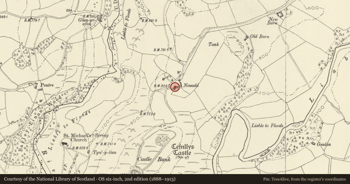 Ordnance Survey six-inch map, 2nd edition (1888–1913) covering the location of Neuadd, Penybont, Powys, with a pin at the register's coordinates