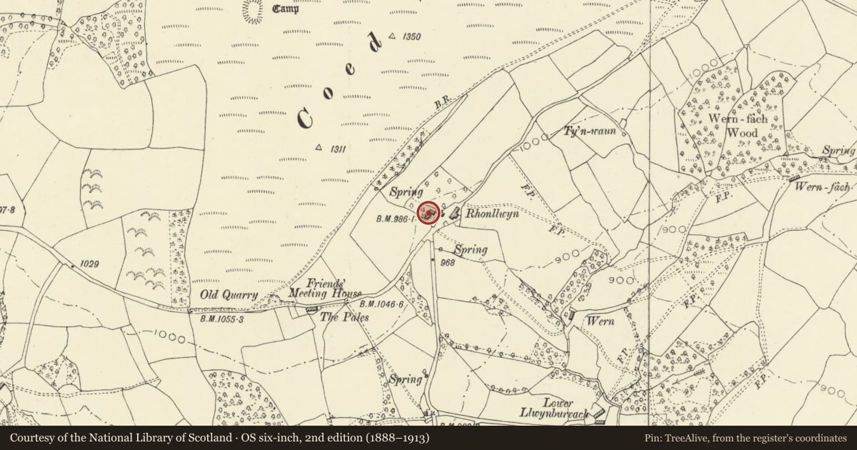 Ordnance Survey six-inch map, 2nd edition (1888–1913) covering the location of Rhonllwyn, Penybont, Powys, with a pin at the register's coordinates