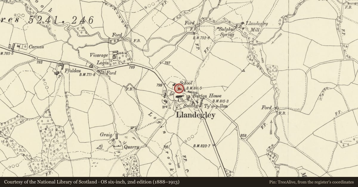Ordnance Survey six-inch map, 2nd edition (1888–1913) covering the location of Y-friallen, Penybont, Powys, with a pin at the register's coordinates