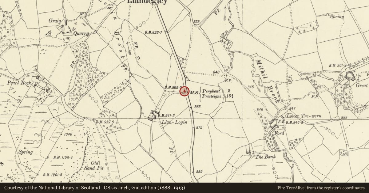 Ordnance Survey six-inch map, 2nd edition (1888–1913) covering the location of Milestone by roadside on N side of farm road to Llanloggin, Penybont, Powys, with a pin at the register's coordinates