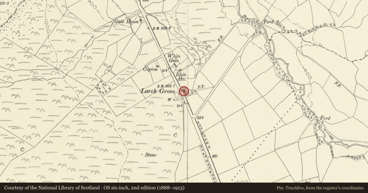Ordnance Survey six-inch map, 2nd edition (1888–1913) covering the location of Larch Grove, Penybont, Powys, with a pin at the register's coordinates