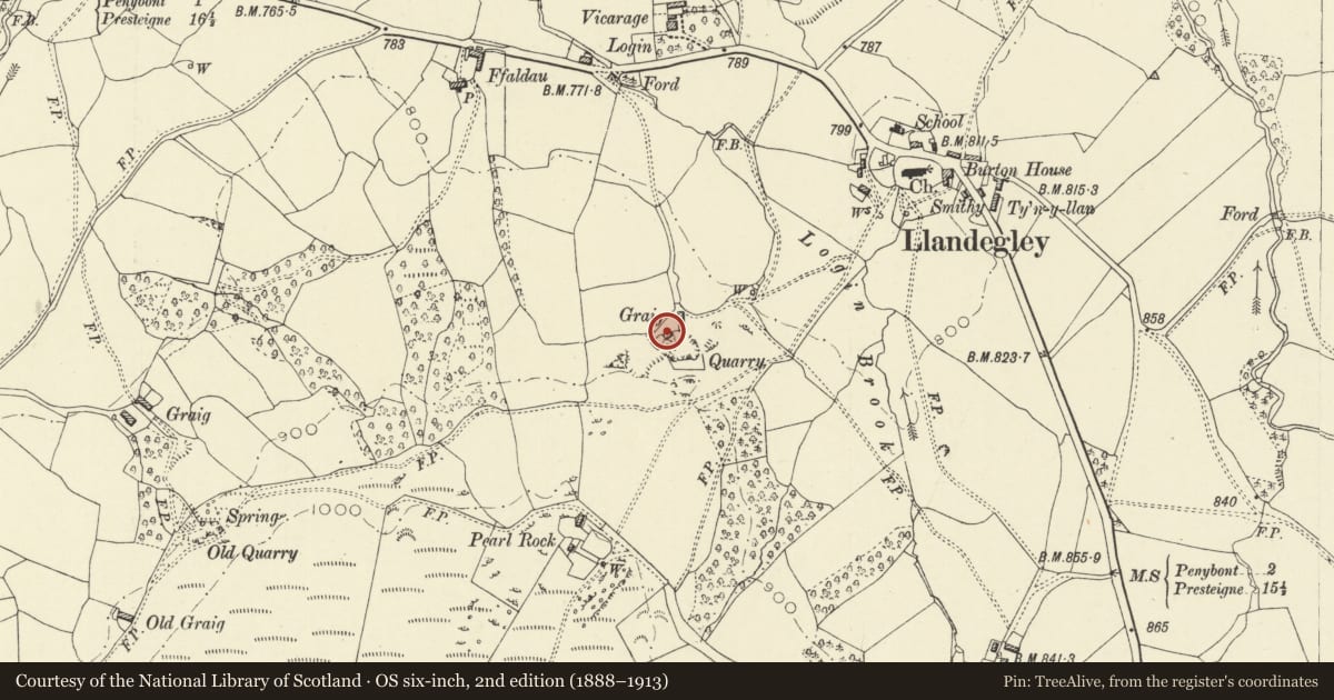 Ordnance Survey six-inch map, 2nd edition (1888–1913) covering the location of Little Graig, Penybont, Powys, with a pin at the register's coordinates