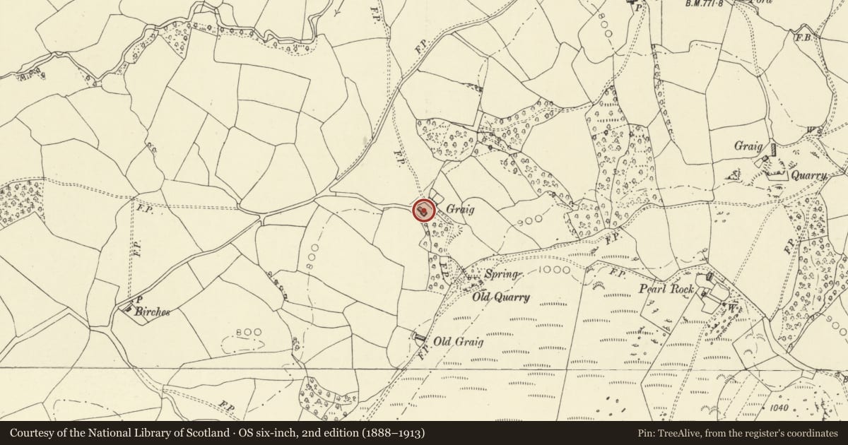 Ordnance Survey six-inch map, 2nd edition (1888–1913) covering the location of Outbuilding range 30m SW of Graig, Penybont, Powys, with a pin at the register's coordinates