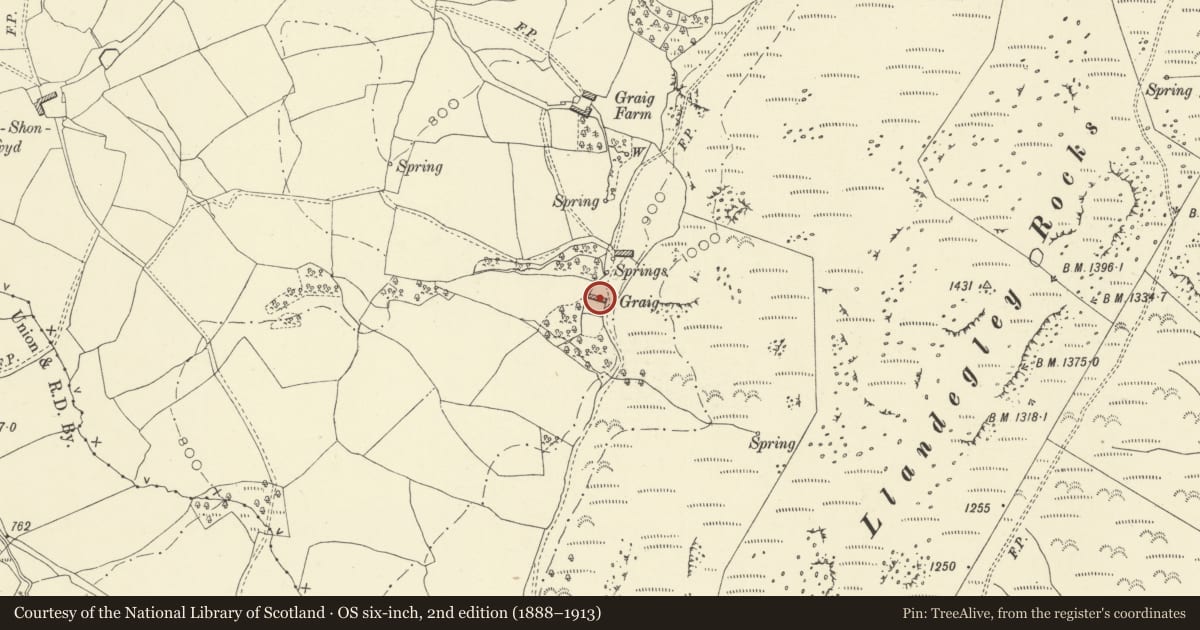 Ordnance Survey six-inch map, 2nd edition (1888–1913) covering the location of Upper Graig (Old House), Penybont, Powys, with a pin at the register's coordinates