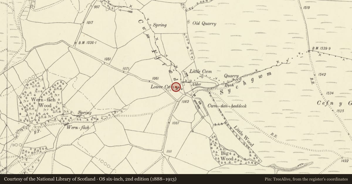 Ordnance Survey six-inch map, 2nd edition (1888–1913) covering the location of Lower Cwm, Penybont, Powys, with a pin at the register's coordinates