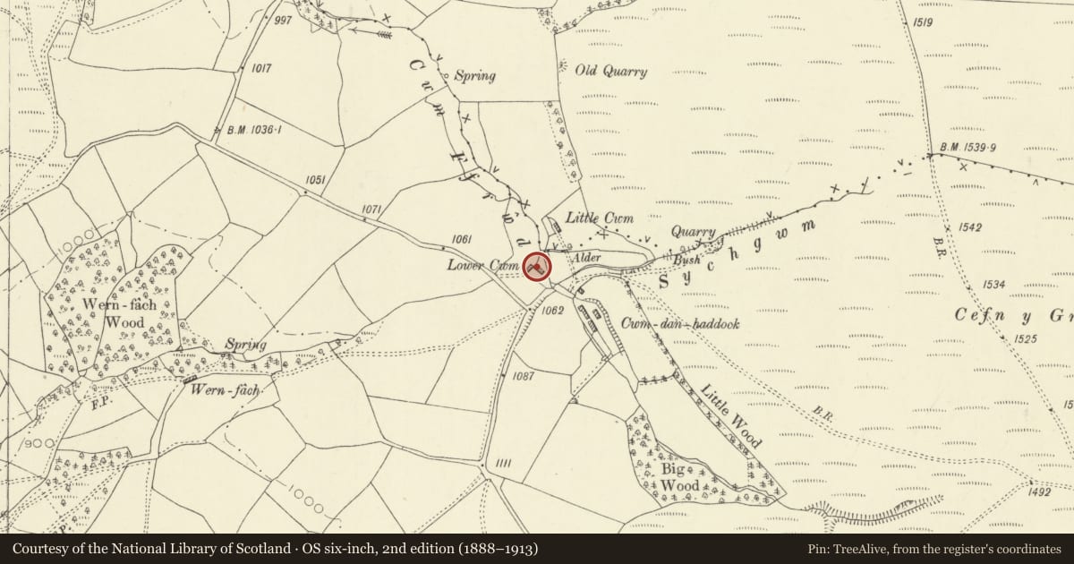 Ordnance Survey six-inch map, 2nd edition (1888–1913) covering the location of Outbuilding range immediately SE of Lower Cwm, Penybont, Powys, with a pin at the register's coordinates