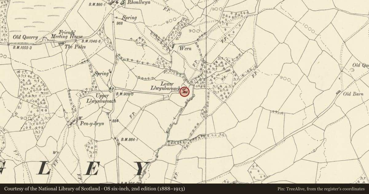 Ordnance Survey six-inch map, 2nd edition (1888–1913) covering the location of Barn at Lower Llwynburfach Lower Llwynburfach, Penybont, Powys, with a pin at the register's coordinates