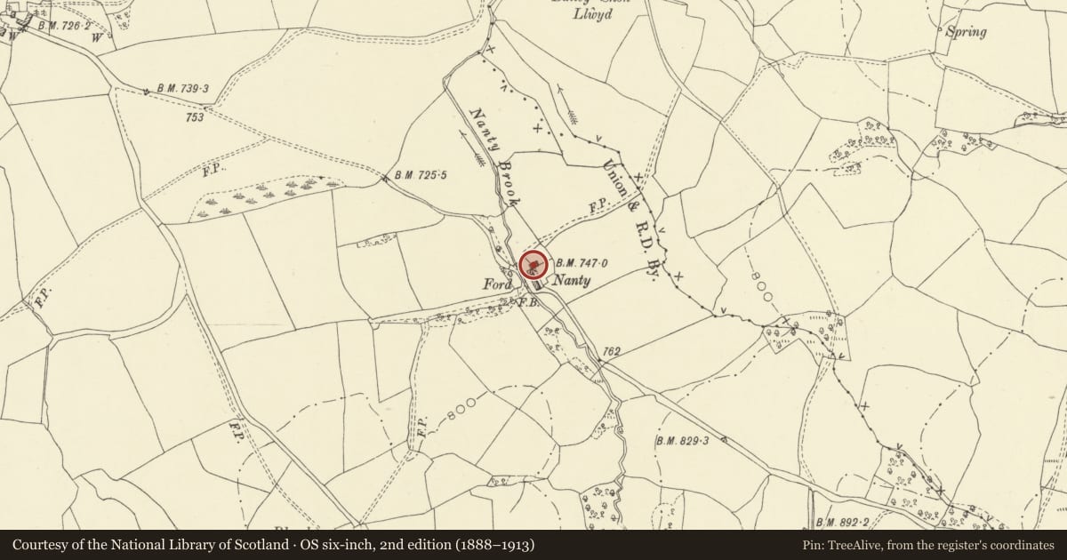 Ordnance Survey six-inch map, 2nd edition (1888–1913) covering the location of Nantddu, Penybont, Powys, with a pin at the register's coordinates