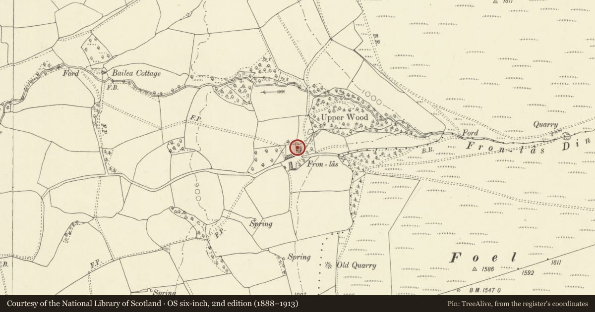 Ordnance Survey six-inch map, 2nd edition (1888–1913) covering the location of Vronlase (The Old Farmhouse), Penybont, Powys, with a pin at the register's coordinates