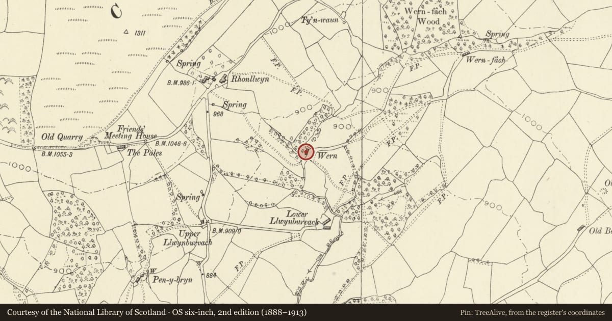 Ordnance Survey six-inch map, 2nd edition (1888–1913) covering the location of Wern, including adjoining outbuilding range, Penybont, Powys, with a pin at the register's coordinates