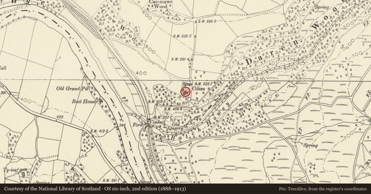 Ordnance Survey six-inch map, 2nd edition (1888–1913) covering the location of Ciliau, Painscastle, Powys, with a pin at the register's coordinates