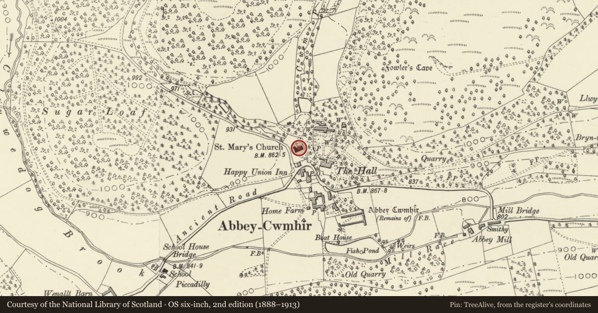 Ordnance Survey six-inch map, 2nd edition (1888–1913) covering the location of Church of St Mary, Abbey Cwmhir, Powys, with a pin at the register's coordinates