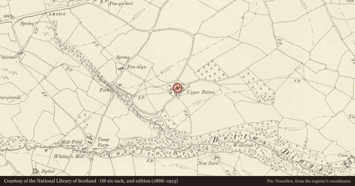 Ordnance Survey six-inch map, 2nd edition (1888–1913) covering the location of Upper Bettws Farmhouse, Clyro, Powys, with a pin at the register's coordinates