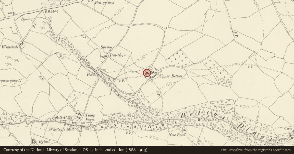 Ordnance Survey six-inch map, 2nd edition (1888–1913) covering the location of Cartshed and Cidermill at Upper Bettws Farm, Clyro, Powys, with a pin at the register's coordinates