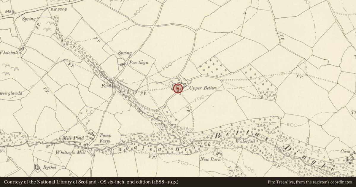 Ordnance Survey six-inch map, 2nd edition (1888–1913) covering the location of Barn at Upper Bettws Farm, Clyro, Powys, with a pin at the register's coordinates