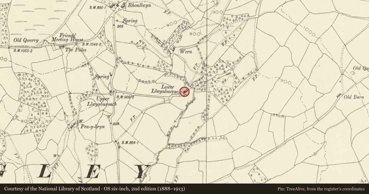 Ordnance Survey six-inch map, 2nd edition (1888–1913) covering the location of Llwynburfach Farmhouse, Penybont, Powys, with a pin at the register's coordinates