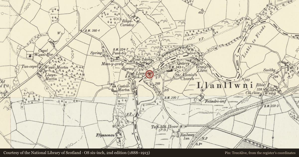 Ordnance Survey six-inch map, 2nd edition (1888–1913) covering the location of Pont Llwni (partly in Llandysul Community), Llanllwni, Carmarthenshire, with a pin at the register's coordinates