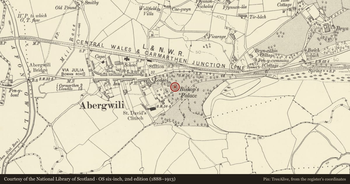 Ordnance Survey six-inch map, 2nd edition (1888–1913) covering the location of Carmarthenshire County Museum (formerly Bishop's Palace), Abergwili, Carmarthenshire, with a pin at the register's coordinates