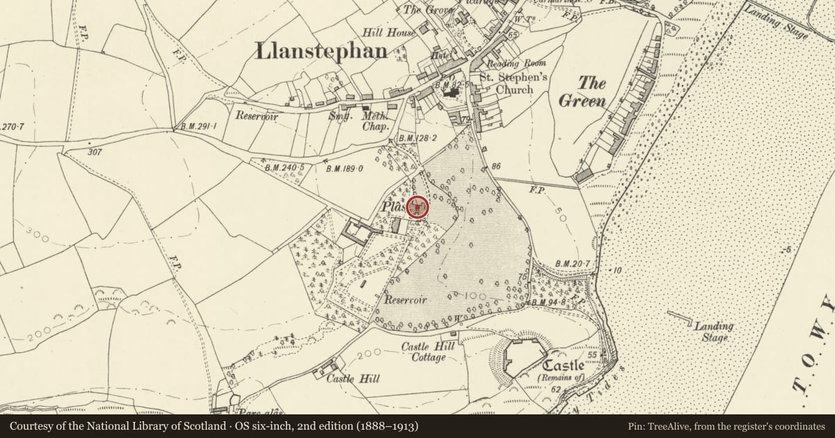 Ordnance Survey six-inch map, 2nd edition (1888–1913) covering the location of Y Plas, Llansteffan, Carmarthenshire, with a pin at the register's coordinates