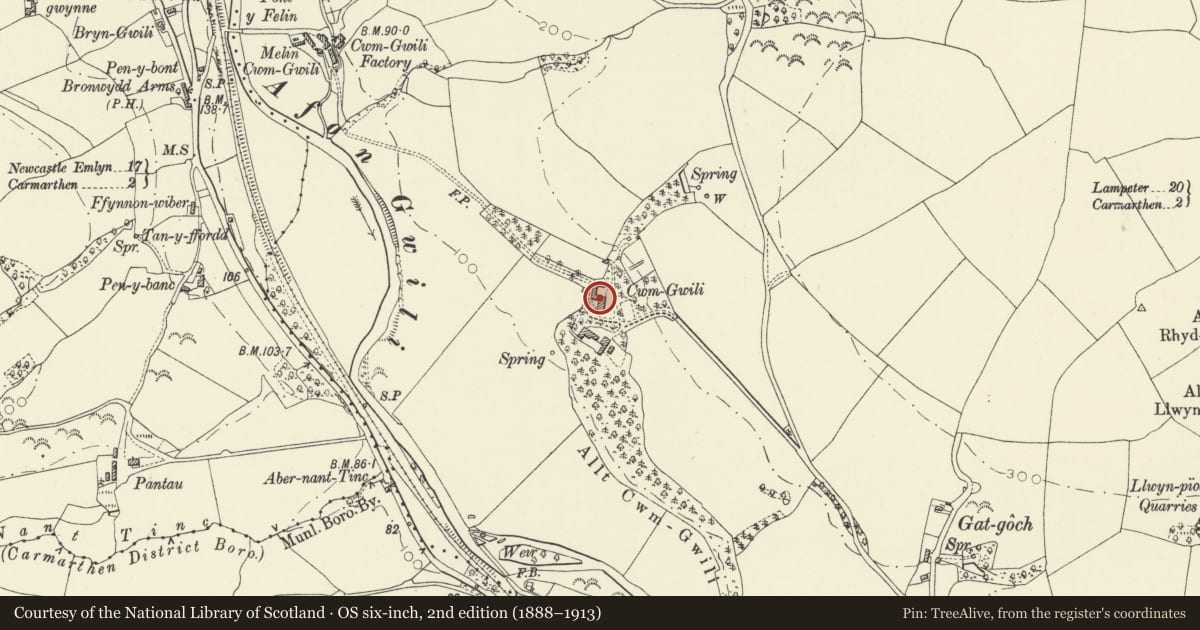 Ordnance Survey six-inch map, 2nd edition (1888–1913) covering the location of Cwmgwili, Bronwydd, Carmarthenshire, with a pin at the register's coordinates