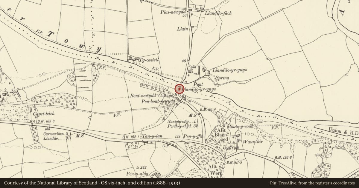 Ordnance Survey six-inch map, 2nd edition (1888–1913) covering the location of Pont Llandeilo-yr-ynys (partly in Llanegwad Community), Llanarthney, Carmarthenshire, with a pin at the register's coordinates
