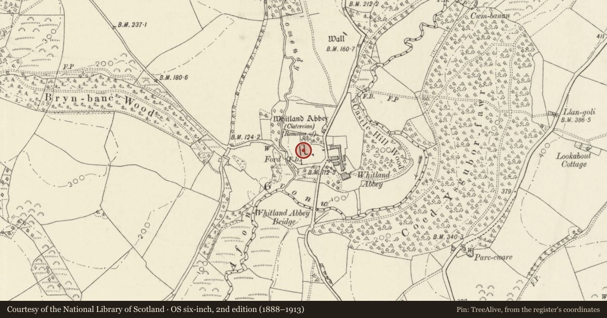 Ordnance Survey six-inch map, 2nd edition (1888–1913) covering the location of Remains of Whitland Abbey including garden walls to S, Llanboidy, Carmarthenshire, with a pin at the register's coordinates