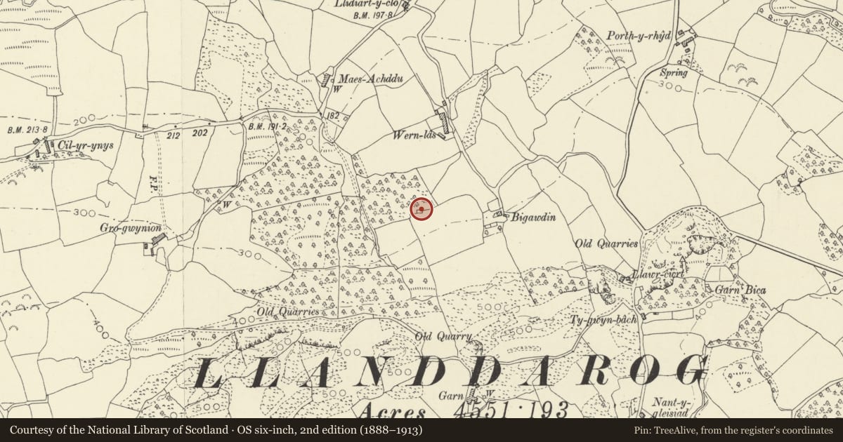 Ordnance Survey six-inch map, 2nd edition (1888–1913) covering the location of Capel Bigawdin, Llanddarog, Carmarthenshire, with a pin at the register's coordinates