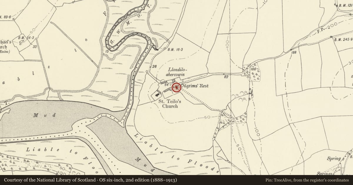 Ordnance Survey six-inch map, 2nd edition (1888–1913) covering the location of Pilgrim's Rest, Llangynog, Carmarthenshire, with a pin at the register's coordinates
