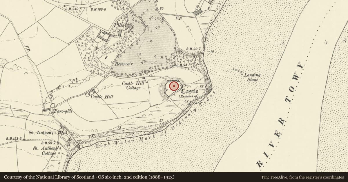 Ordnance Survey six-inch map, 2nd edition (1888–1913) covering the location of Llansteffan Castle, Carmarthenshire, with a pin at the register's coordinates